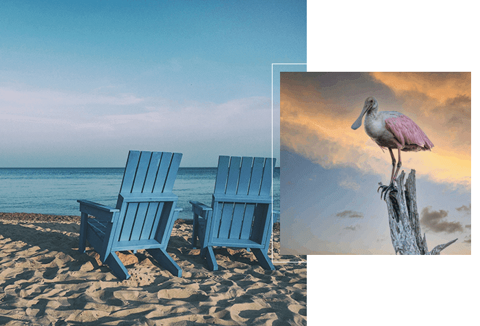 A picture of the beach with two chairs and a bird.